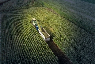 Tarım sigortaları kapsamında üreticilere 4,2 milyar lira hasar tazminatı ödendi