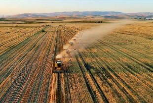 Tarım ÜFE ağustosta aylık bazda yüzde 3,45 azaldı