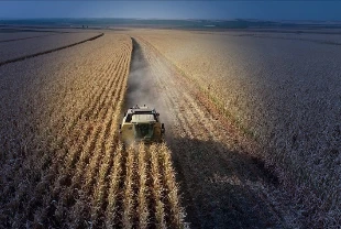 Tarım ÜFE kasımda aylık bazda düştü: Yüzde 1,56 geriledi