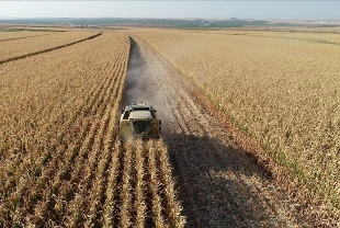 Tarım ÜFE'de temmuz freni: Fiyatlar yüzde 5,66 geriledi