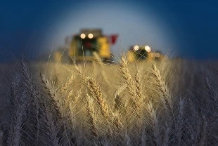 Tarım ÜFE'de yükseliş sürüyor: Ekimde yüzde 4 arttı