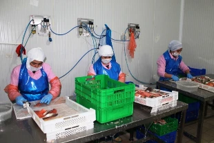 Tarım ve balıkçılık yatırımına IPARD III Programı desteği
