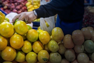 Tarım ve gıda ihracatı artışta: Ocak ayında 2,4 milyar dolara ulaştı