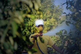 Tarımda 'B-Reçete' dönemi başlıyor: İşte bilmeniz gerekenler