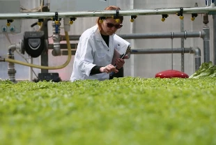 Tarımda güçlü AR-GE dönemi başlıyor! Bakan Yumaklı: Merkezler inşa edeceğiz