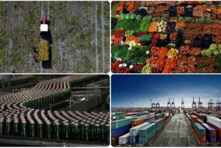 Tarımda ve gıdada ihracat rekoru: 5 ayda 11,5 milyar dolar