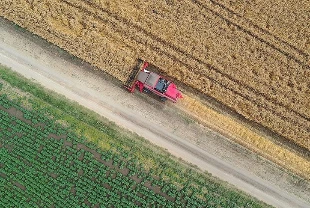 Tarımda yeni dönem: Yapay zeka ve uydu ile 45 milyon dekar analiz edildi