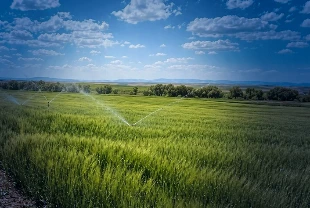 Tarımda yeşil finansman dönemi: KGF ve EFSE'den 100 milyon avroluk kaynak