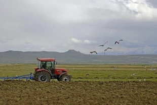 Tarımsal destek ödemesinin tarihi netleşti! 1 milyar TL'yi aşkın destek