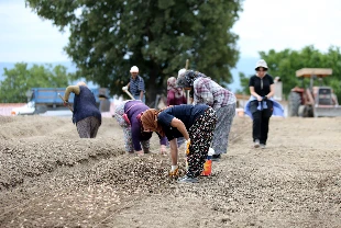Tarımsal destek ödemesinin yapılacağı gün netleşti