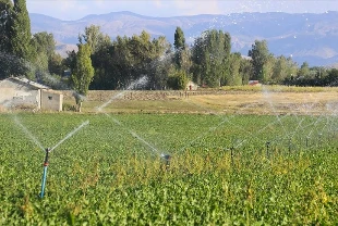 Tarımsal girdi fiyat endeksi sakin patikaya girdi