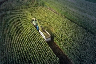 Tarımsal girdi maliyetleri: Ocak ayında yüzde 3,86 artış