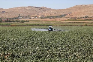 Tarımsal girdide fiyat endeksi açıklandı: Yıllık yüzde 33.6 arttı