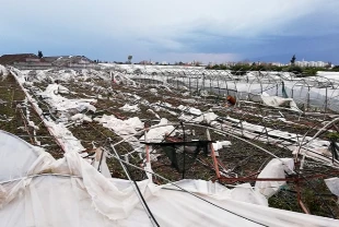 TARSİM 2026 teminatlarını açıkladı: Ürünler, riskler ve prim destekleri netleşti