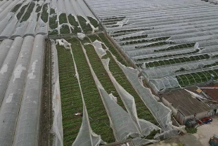 TARSİM selden etkilenen üreticilere destek ödemesi yapacak