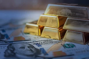 TCMB rezervlerinde tarihi zirve: 180 milyar dolar aşıldı