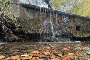 Tekirdağ'da sonbahar renklerine bürünen ormanlar doğa tutkunlarını bekliyor