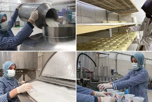 Kadınlar her gün 7 ton sütü lezzete dönüştürüyor