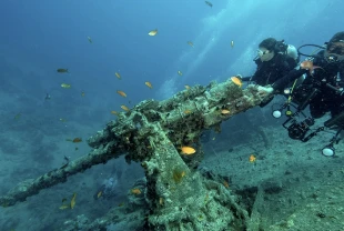 Thistlegorm batığı 84 yıllık tarihe ışık tutuyor