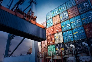 Ticaret Bakanlığı'ndan e-ihracatçılara rehber desteği: 25 ülkelik güncel kılavuz yayında