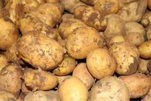 Ticaret Bakanlığı'ndan patates fiyatları için açıklama