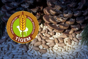 TİGEM yeni açık artırmasını duyurdu! 5 bin kilogram satılacak