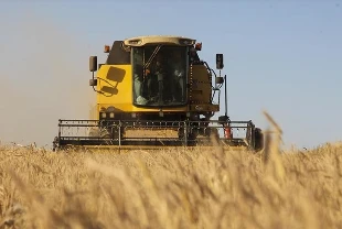 TMO açıkladı: Alımlar 1 milyon tonu geçti, ödemeler sürüyor