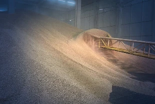 TMO buğday stoklarını açtı