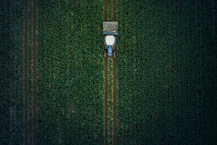 TMO raporu: Hububatta üretim ve verim artışında yağışlar belirleyici olacak