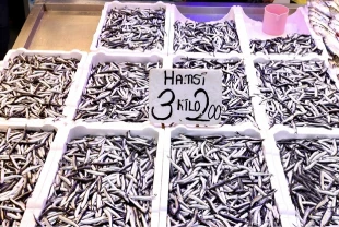 Trabzon’da hamsi bereketi: Tezgahlarda kilogram fiyatı 75 lira