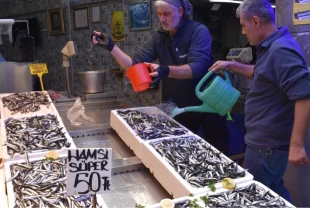 Trabzon’da hamsi bereketi: Tezgahlarda kilogramı 50 liradan satışta