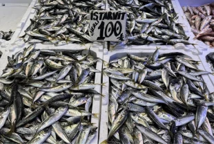 Trabzon’da hamsi ve istavrit 100 liradan satılıyor