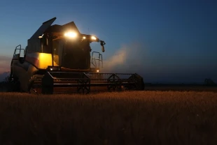 Trakya'da aşırı sıcak nedeniyle buğday hasadı gece yapılıyor