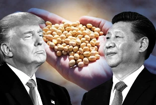 Trump'tan Şi ile görüşme öncesi 'soya fasulyesi' mesajı: Önemli gündem maddesi olacak