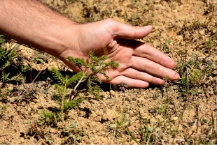 TÜBİTAK'tan biyoçeşitlilik projeleri için hibe ve destek