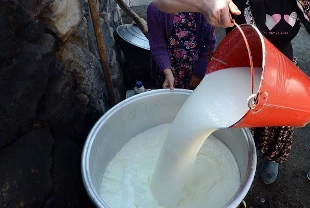 TÜİK açıkladı: Mart ayında inek sütü üretimi yüzde 2,9 arttı