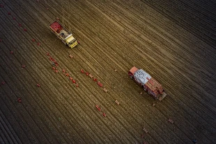 TÜİK açıkladı: Tarım ÜFE'de aylık yüzde 3,06 'lık artış