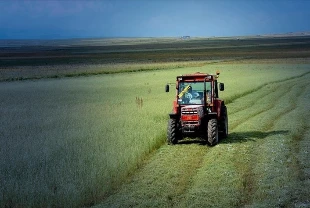TÜİK verileri açıkladı: Tarımda maliyetler kasımda yükseldi