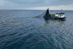 Türk balıkçılığı 16 ülkede sahaya açıldı! Afrika kıyılarından Afrika kıyılarından okyanuslara…