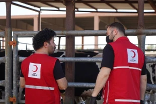 Türk Kızılay’dan Irak’ta 9 tonluk kurbanlık et bağışı: İhtiyaç sahiplerine ulaşacak