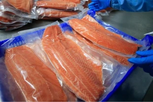 Türk somonu ihracatı 152 milyon doları aştı