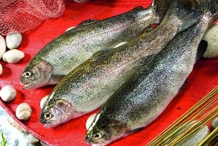 Türk somonu ihracatı yüzde 39 arttı: Ocakta 32,2 milyon dolar