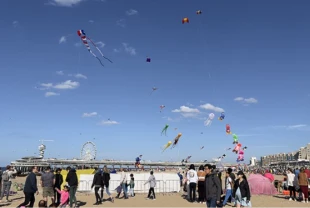 Türk Uçurtma Takımı Çin'de 2 altın madalya kazandı