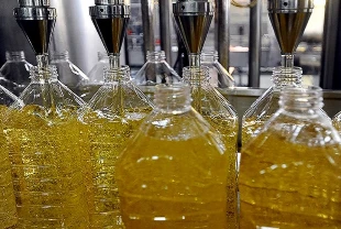 Türkiye ayçiçeği yağı ihracatında büyüyor: 3 ayda 316 milyon dolar gelir