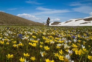 Türkiye bitki bazlı gıdalarda yükseliyor: Genç kuşaklar ilgiyi artırıyor