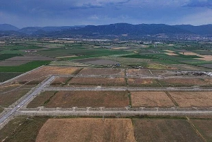 Türkiye’de bir ilk: Tıbbi ve aromatik bitkiler OSB’sinde üretim başlıyor