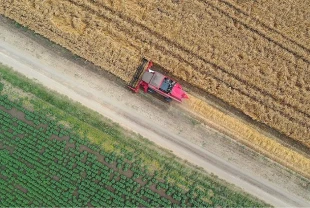 Türkiye’de tarımda 2025 panoraması: Kuraklık ve don riskine rağmen dönüşüm hızlandı