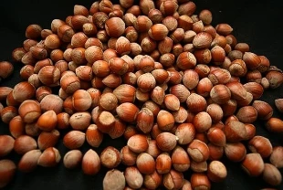 Türkiye’nin fındık geliri açıklandı: 2 ayda 388 milyon dolar