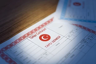 Türkiye'nin tapu envanteri açıklandı: 56,4 milyon kişi tapu sahibi