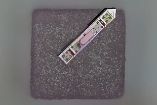 Tuz tanesi büyüklüğünde implant: Bir yıllık beyin aktivitesini kaydediyor